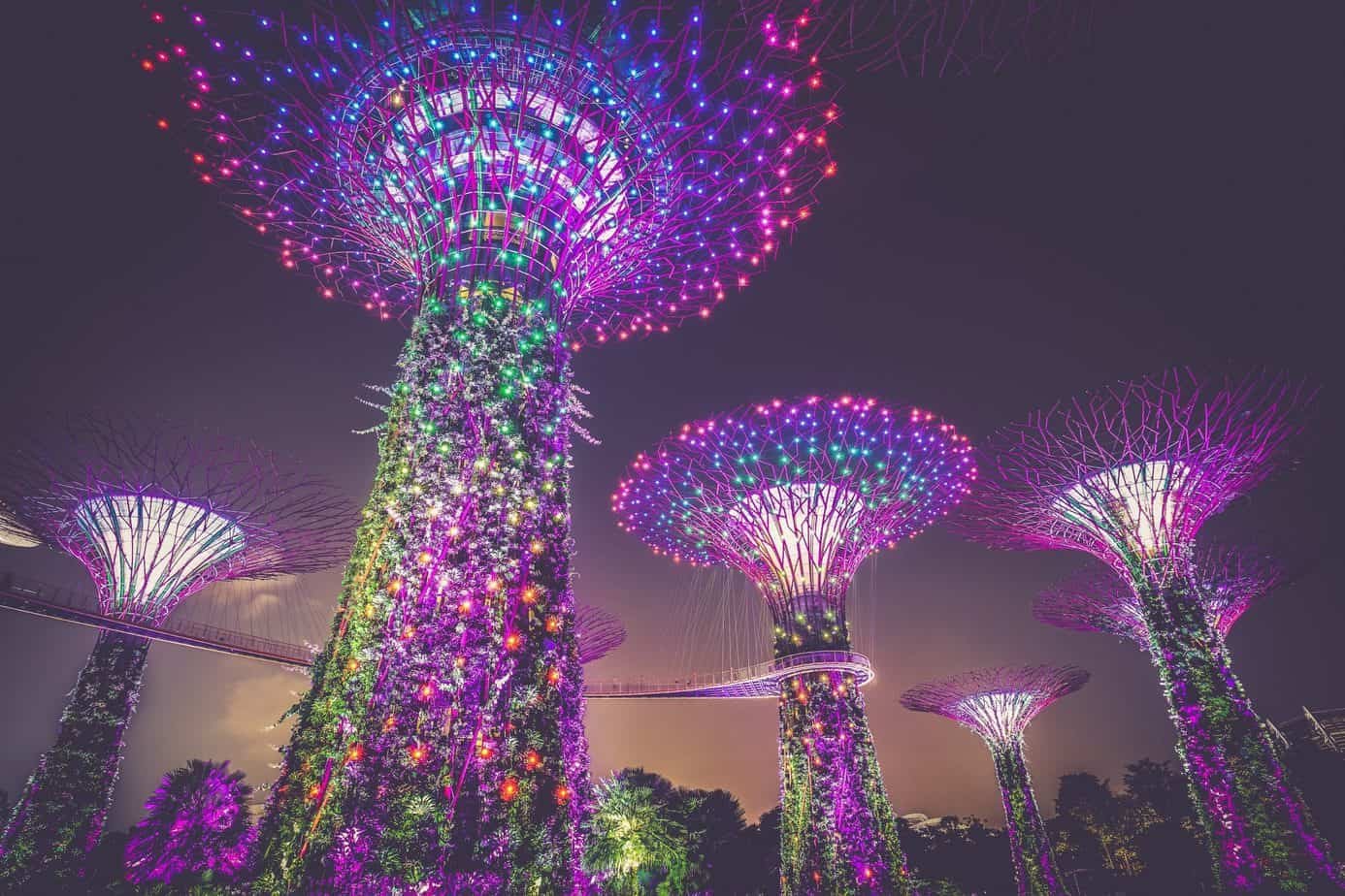 artificial trees, singapore, illumination