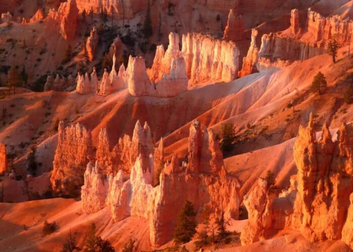 bryce canyon, national park, sunrise at bryce canyon