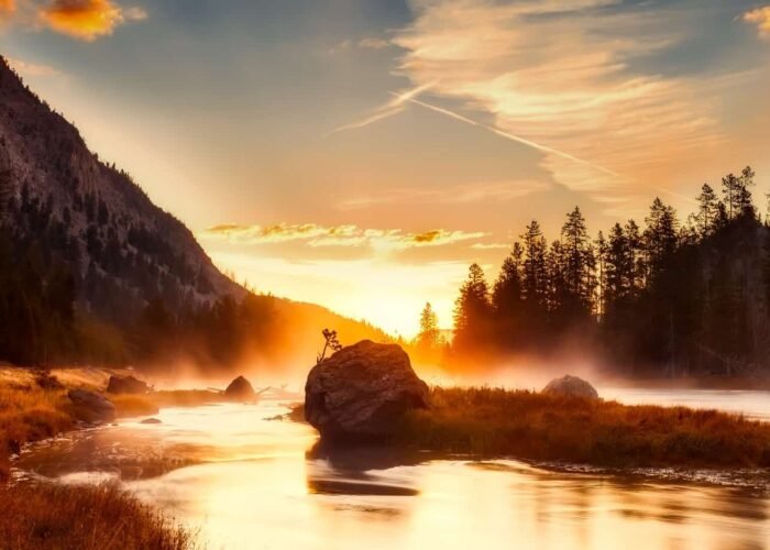 yellowstone, national park, wyoming