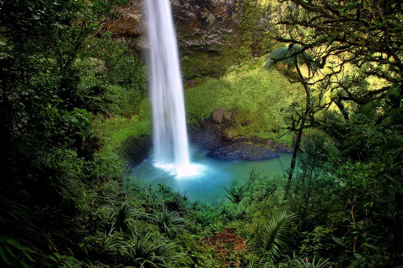 bridal veil fall, water fall, new zealand