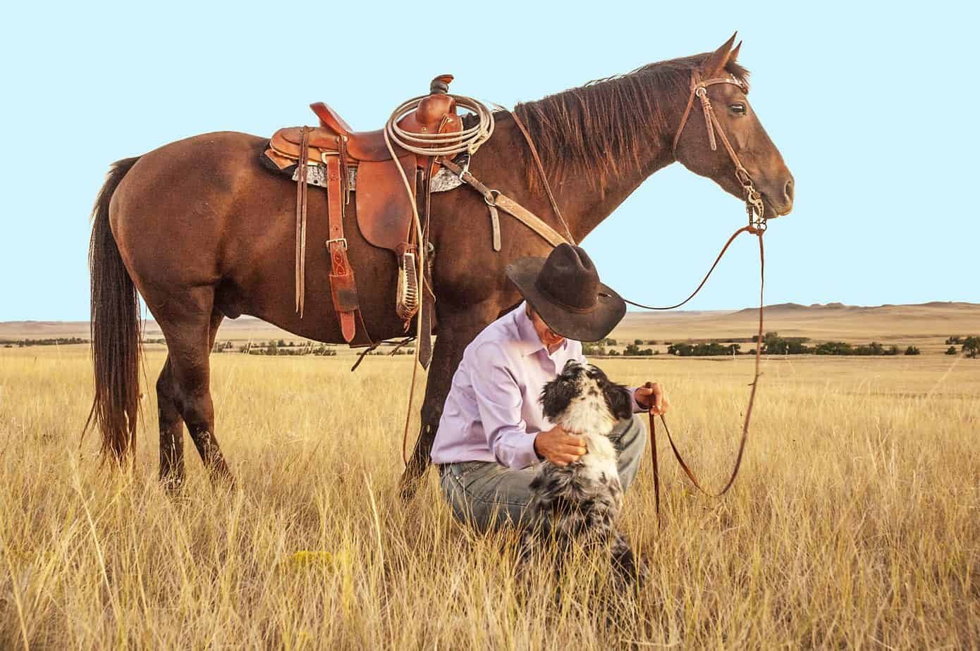 cowboy, horse, dog