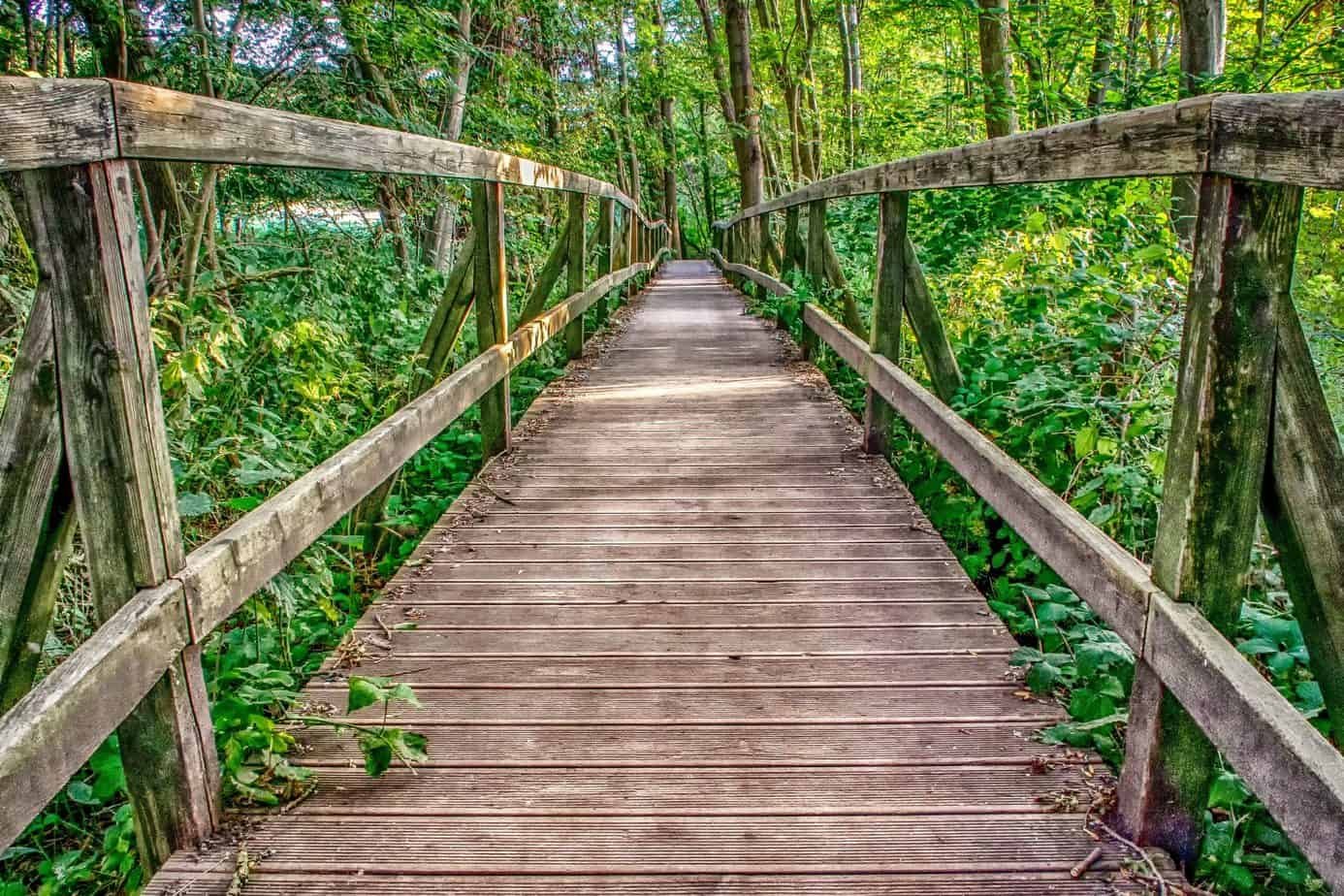 nature, architecture, wooden bridge