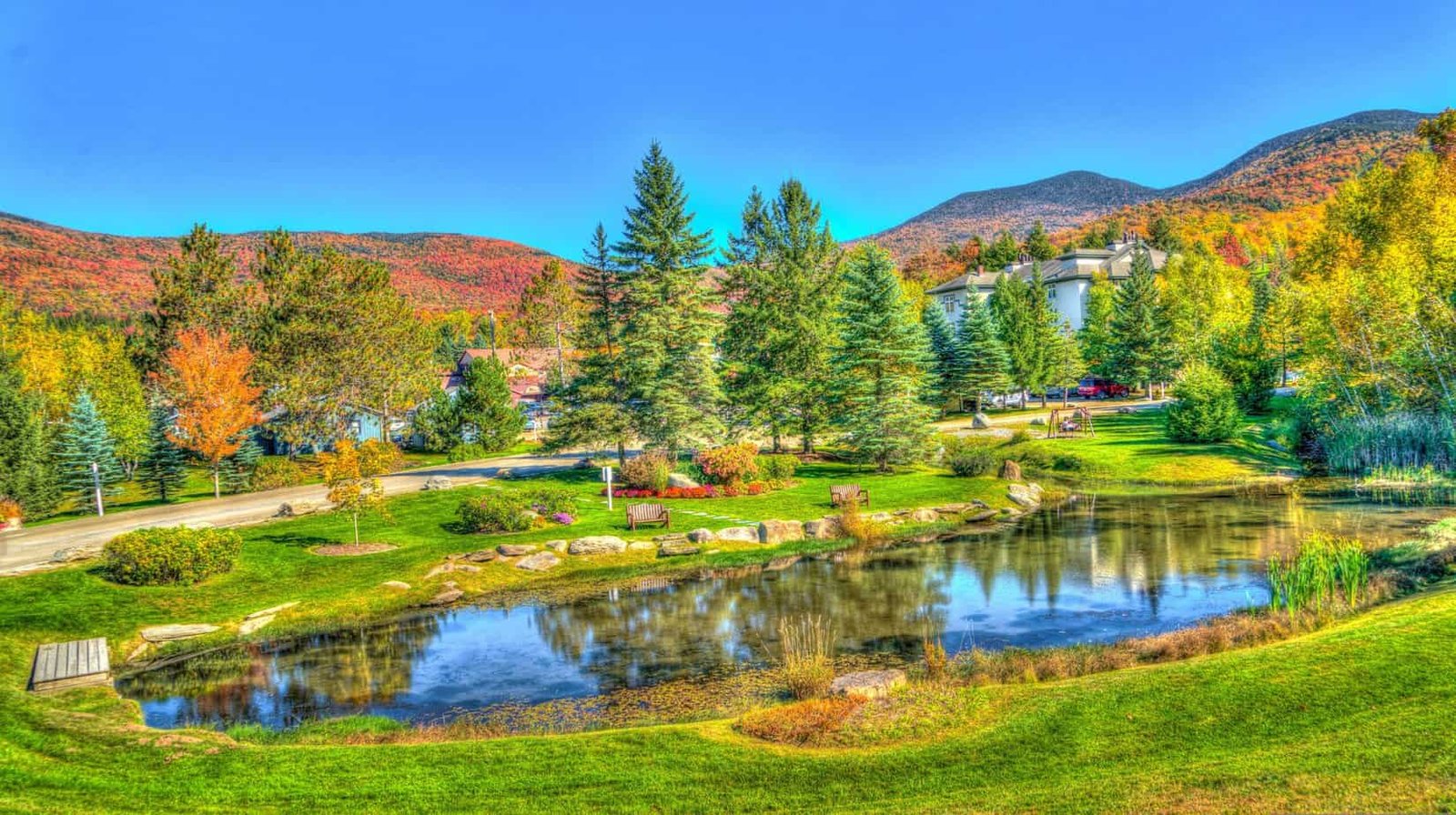 vermont, stowe, foliage